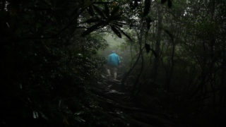 Film still of the film Milieu, directed by Damien Faure, Visions du Réel 2016