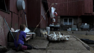 Film still of the film One of the roughs, a kosmos, directed by Carmine Grimaldi, Visions du Réel 2017