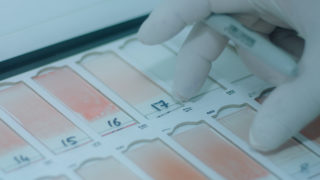 Film still of the film Blu, directed by Massimo D'Anolfi, Martina Parenti, Visions du Réel 2019