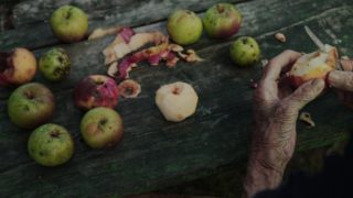 Film still of the film Then Comes the Evening, directed by Maja Novaković, Visions du Réel 2019