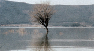 Film still of the film Últimas Ondas, directed by Emmanuel Piton, Visions du Réel 2019