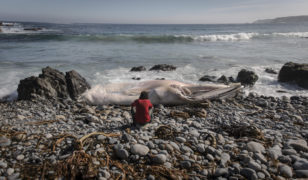 Film still of the film The Other One, directed by Francisco Bermejo, Visions du Réel 2020