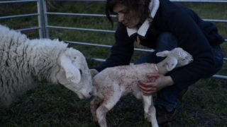 Film still of the film Nous la mangerons, c'est la moindre des choses, directed by Elsa Maury, Visions du Réel 2020