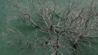 Film still of the film Land Underwater, directed by Maddi Barber, Visions du Réel 2020