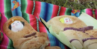 Carte Blanche de Cristina Motta – Surfaces – Visions du Réel 2021