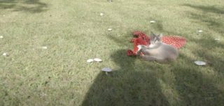 Carte Blanche de Marion Neumann – The Mushroom Speaks – Visions du Réel 2021