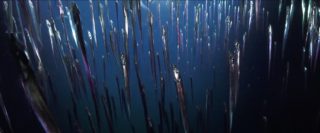 Film still of the film Aphotic Zone, directed by Emilija Škarnulytė, Visions du Réel 2021